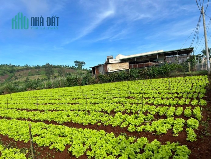 👉 👉 Không mua bây giờ thì mua khi nào đây mọi người ơi