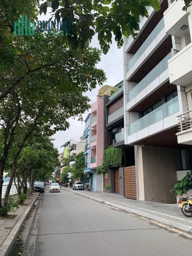 Bán nhanh MP Trích Sài - Tây Hồ 120m2, 7Tthang máy có hầm, thông sàn KD đỉnh.
