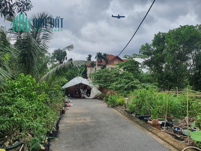Ngân Hàng Thanh Lý  đất sổ riêng Vườn Lài, an phú đông quận 12, Giá nhỉnh 3 tỷ