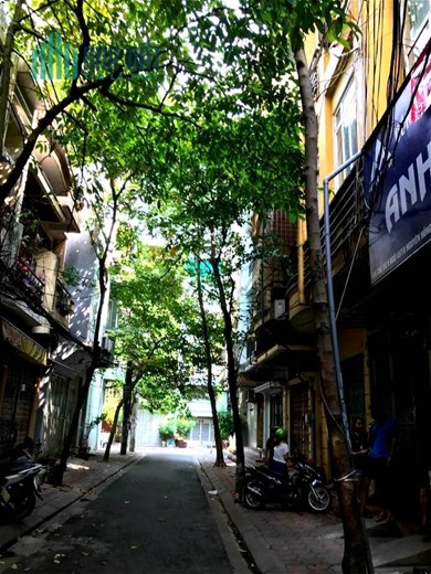 Bán Nhà Phân Lô Phố Nguyên Hồng Quận Đống Đa. 44m Nhỉnh 12 Tỷ. Cam Kết Ảnh Thật Mô Tả Chính Xác.