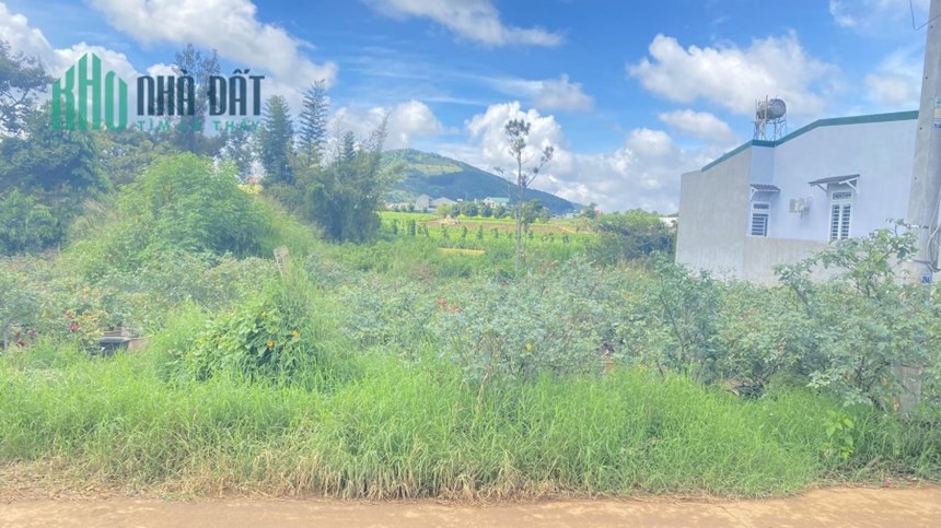 Chủ gửi 2 lô đất hẻm nhựa bồng lai hiệp thạnh đức trọng 1,4 tỷ