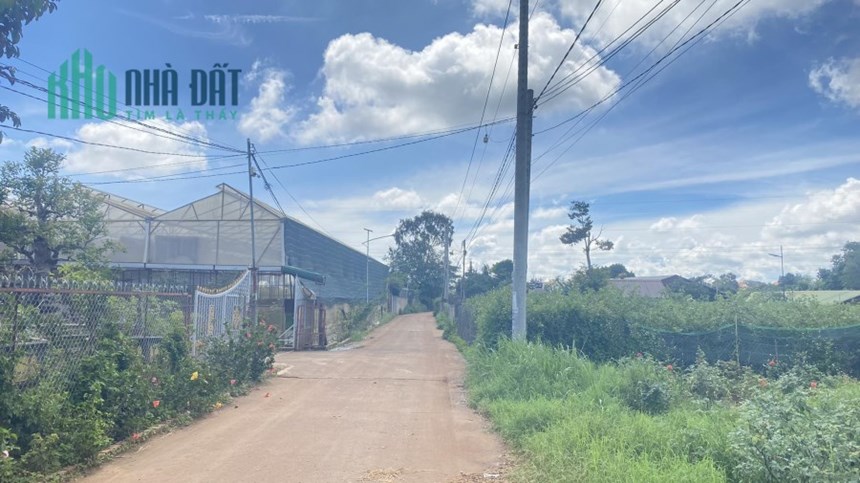 Chủ gửi 2 lô đất hẻm nhựa bồng lai hiệp thạnh đức trọng 1,4 tỷ