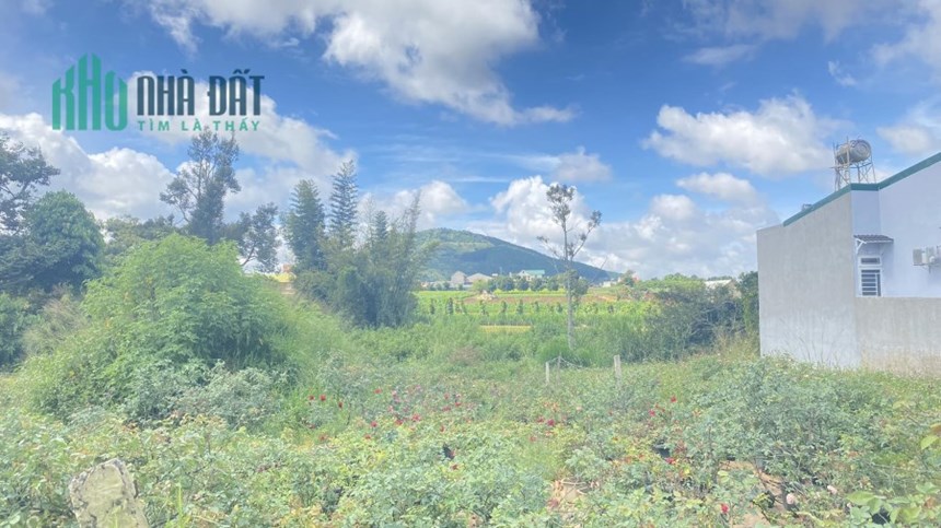 Chủ gửi 2 lô đất hẻm nhựa bồng lai hiệp thạnh đức trọng 1,4 tỷ