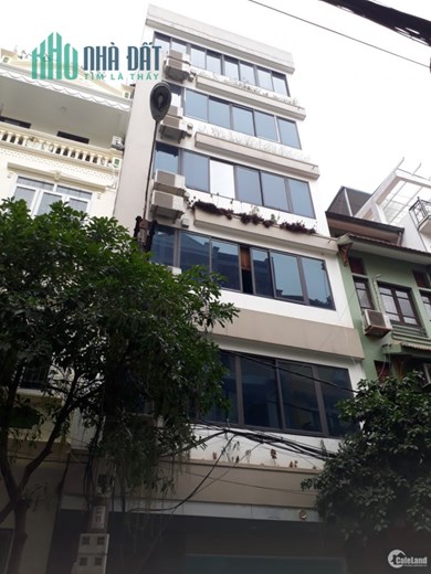 Tôi cần bán nhà tại Nguyễn Ngọc Vũ Cầu Giấy, căn góc 60,3m, giá muốn bán 11,2 tỷ