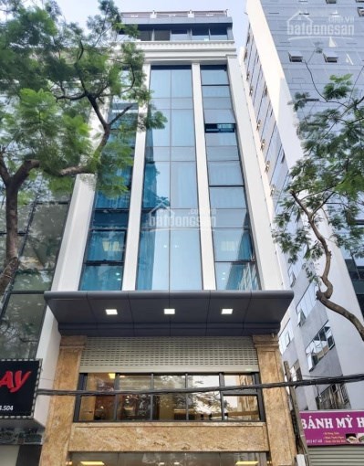TOÀ BUIDING PHỐ CỔ, HOÀN KIẾM: 82M2, 9T, MT6.5M, THANG MÁY NHẬT,  DÒNG TIỀN CAO, 56 TỶ