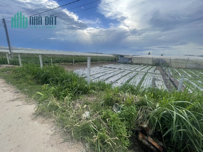 ❗ ❗ Hạ 350 triệu chỉ còn 1,950 tỷ cần bán đất ❗ ❗