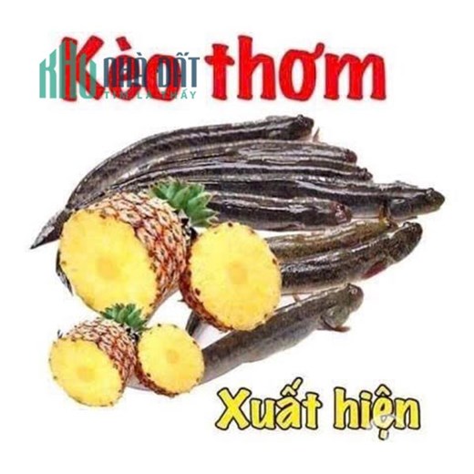 Bể nợ cần bán gấp đất đường Thạnh Lộc 41, quận 12  YOUTUBE BẤT ĐỘNG SẢN 6 SAO