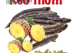 Bể nợ cần bán gấp đất đường Thạnh Lộc 41, quận 12  YOUTUBE BẤT ĐỘNG SẢN 6 SAO