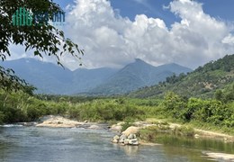 ĐẤT ĐẸP - GIÁ TỐT - Cần Bán Nhanh Lô Đất Vị Trí Đắc Địa Tại Xã Măng Tô,Tánh Linh, Bình Thuận