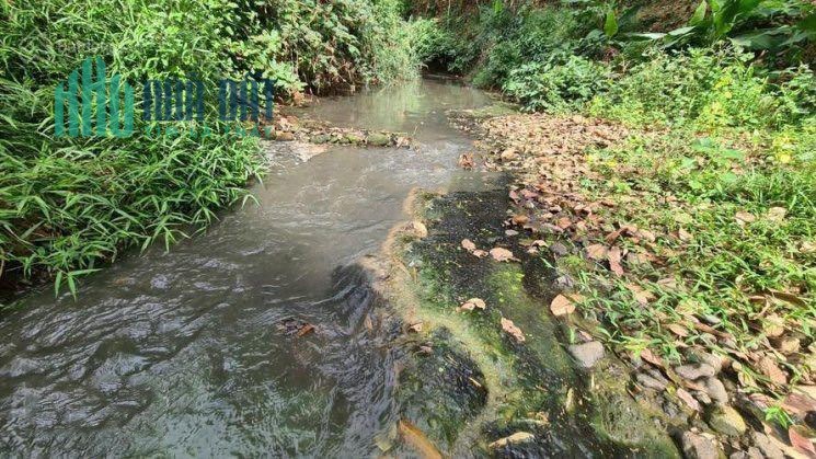CHÍNH CHỦ BÁN 1900M2 ĐẤT SỔ HỒNG RIÊNG MẶT TIỀN GIÁ RẺ DUY NHẤT NỐI LIỀN QL20