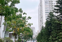 Nhà Vườn quận Thanh Xuân, Imperia Garden 203 Nguyễn Huy Tưởng 170m x 5T, Giá 4x tỷ.