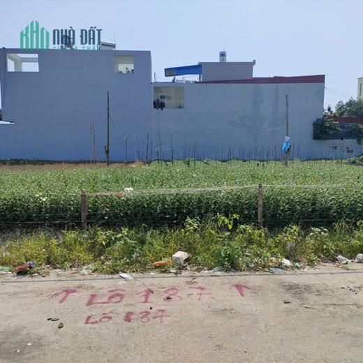 Bán lô đất 100 M đường 30 M tái định Cư Gốc Lim Mai Trung Thứ Lũng Đông  Hải An