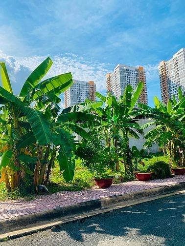 Lô đất giá tốt trong khu dân cư Văn Minh, hiếm Q2, An Phú, 15.6 tỷ, 5.9mx18m