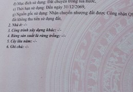 CHÍNH CHỦ CẦN BÁN GẤP LÔ ĐÁT Vị Trí Đẹp Tại Trảng Bàng, Tây Ninh