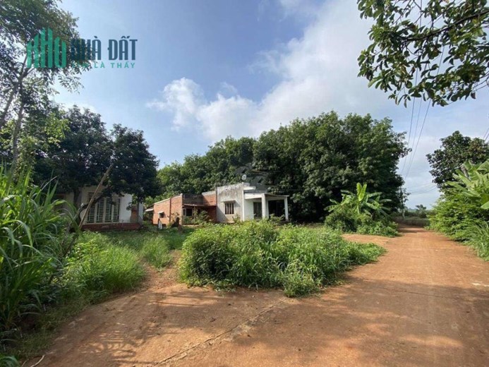 Chính Chủ Bán Đất Sổ Hồng Riêng Giá Rẻ Duy Nhất Trung Tâm Bình Dương