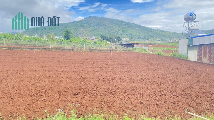 Bán lô đất hẻm trung tâm liên nghĩa, gần ngay ngã 3 cafe ngọc ngân 1,2 tỷ