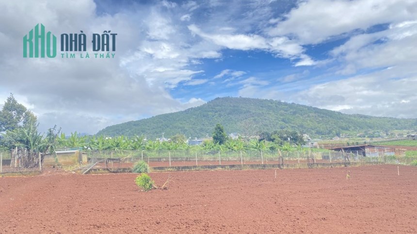 Bán lô đất hẻm trung tâm liên nghĩa, gần ngay ngã 3 cafe ngọc ngân 1,2 tỷ