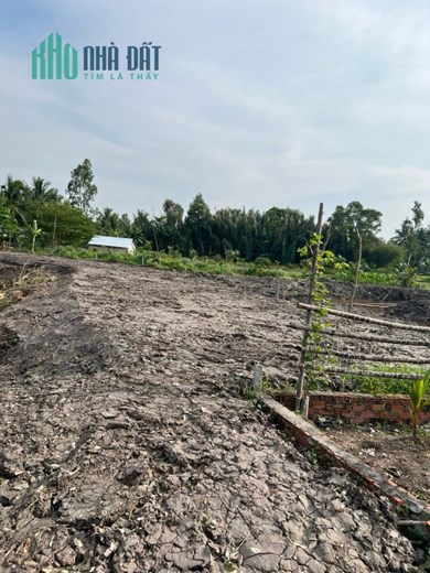 CHÍNH CHỦ CẦN BÁN 2316,5m Đất Trồng Cây Lâu Năm, Lên Thổ 600k m2 Vị Trí Đẹp Châu Thành, Kiên Giang