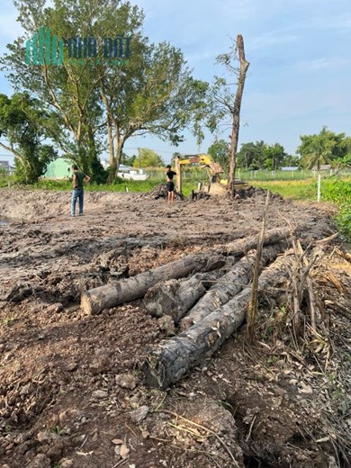 CHÍNH CHỦ CẦN BÁN 2316,5m Đất Trồng Cây Lâu Năm, Lên Thổ 600k m2 Vị Trí Đẹp Châu Thành, Kiên Giang