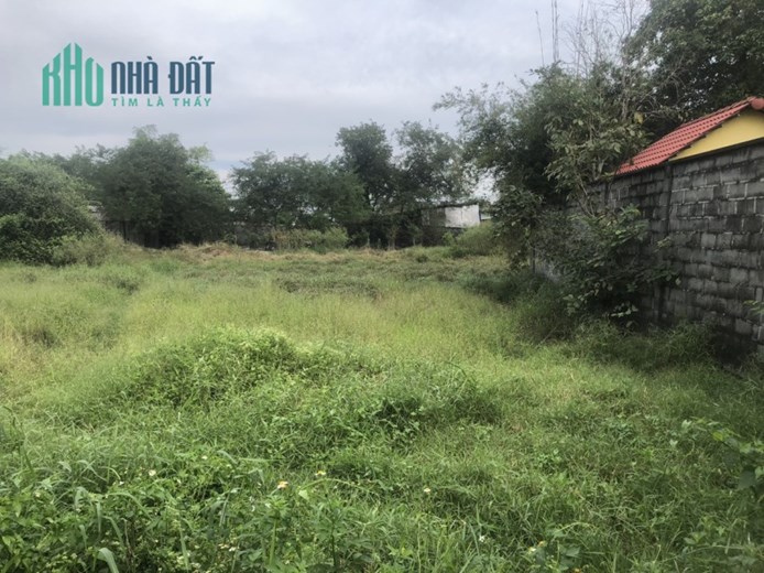 Đất Phân Lô MT Xuân Thới 2 Hóc Môn 4060m2 Giá Chỉ 28 Tỷ