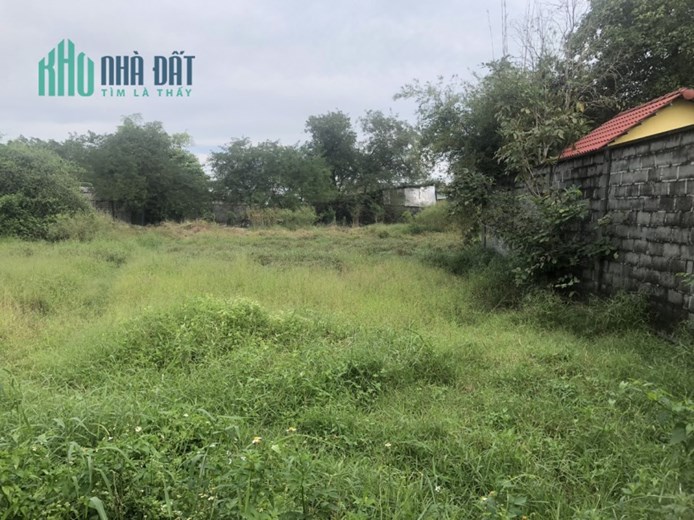 Đất Phân Lô MT Xuân Thới 2 Hóc Môn 4060m2 Giá Chỉ 28 Tỷ