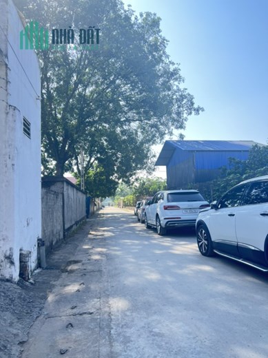 chủ nhà cần bán lô đất tại thôn phượng bản xã phụng châu dt 135 m mặt đường kinh doanh nhỏ lẻ