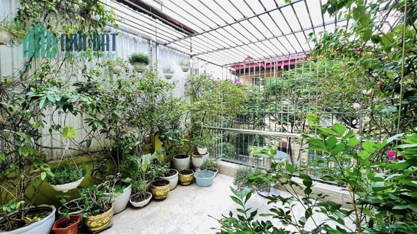 Bán Nhà Phố Hoàng Cầu Quận Đống Đa. 50m Xây 5 Tầng Mặt Tiền 4.1m Nhỉnh 14 Tỷ. Cam Kết Ảnh Thật Mô