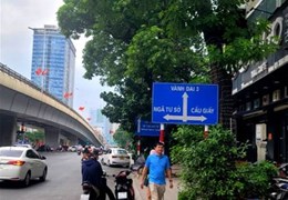 Bán Nhà Mặt Phố Nguyễn Chí Thanh Quận Đống Đa. 38m Mặt Tiền 4.5m Nhỉnh 14 Tỷ. Cam Kết Ảnh Thật Mô