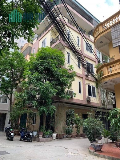 SIÊU PHÂN LÔ PHỐ XÃ ĐÀN - ÔTÔ ĐỖ CỬA VÀO NHÀ - LÔ GÓC, 55M X 5T. GIÁ 11 TỶ