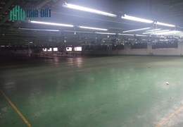 CHO THUÊ KHO, XƯỞNG  TẠI KHU CÔNG NGHIỆP. HẢI DƯƠNG