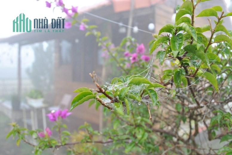 Duy nhất 03 suất nội bộ cuối năm giá tốt : ĐẤT NỀN LÂM ĐỒNG CÓ SỔ
