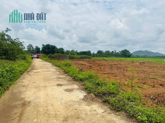CẦN TIỀN BÁN GẤP LÔ ĐẤT 400TR  Ở TRẢNG BOM