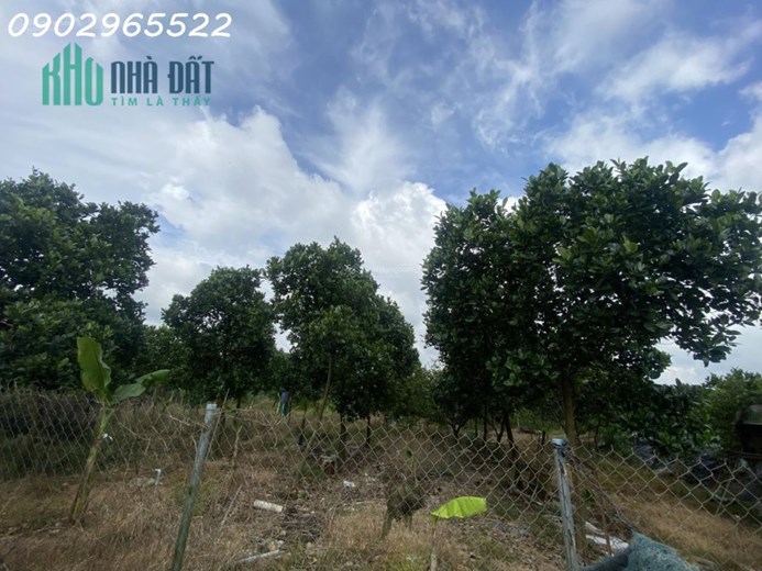 Bán lô đất 11.471 m² xã Bảo Quang, Long Khánh, mặt tiền đường bê tông 110m