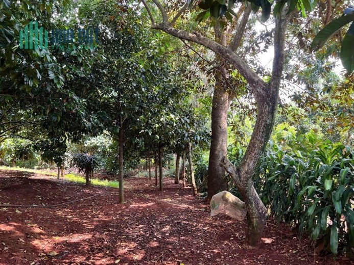 %% CHÍNH CHỦ CẦN BÁN LÔ ĐẤT MẶT TIỀN ĐƯỜNG Ở SUỐI TRE – P.SUỐI TRE - LONG KHÁNH  - ĐỒNG NAI.