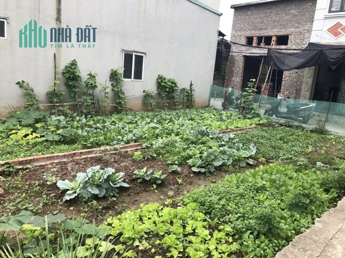 Bán Đất Hữu Hoà, Thanh Trì - 33m Lô Góc