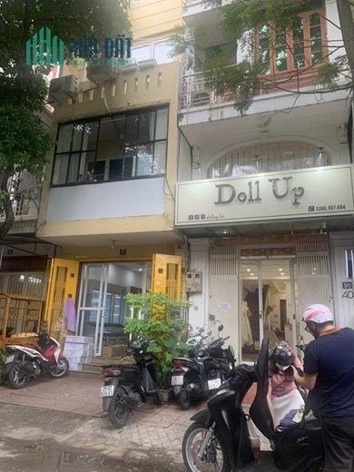 Bán nhà Trần Quang Diệu ngõ ô tô tránh phân lô 40m 5 tầng MT4m giá 11.5 tỷ