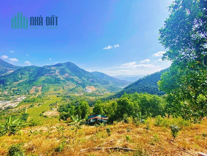 Hơn 5ha Cam Lâm , sau trường Hồng Bàng - 600tr/ha