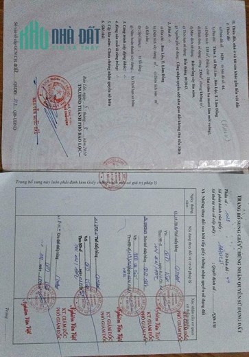 CHÍNH CHỦ CẦN Bán Nông Nghiệp- Đường Mai Trúc Loan, Bảo Lộc, Lâm Đồng