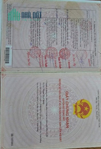 CHÍNH CHỦ CẦN Bán Nông Nghiệp- Đường Mai Trúc Loan, Bảo Lộc, Lâm Đồng
