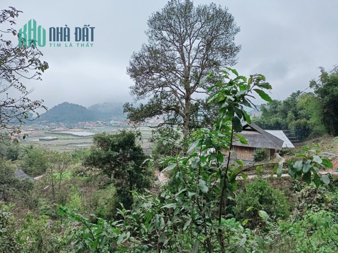 Bán mảnh đất có view thung lũng cực đẹp tại Sapa