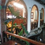 SỞ HỮU BIỆT THỰ SÂN VƯỜN QUÁN CÀ FE DIỆN TÍCH ĐẤT KHỦNG 325M2, GẦN SÔNG CẨM LỆ MÁT MẺ