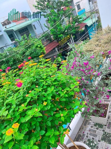 Ngợp!!! nhà Thái Thị Giữ Bà Điểm 5x20 4 tầng chỉ 3,3 tỷ Gọi: 0379371728