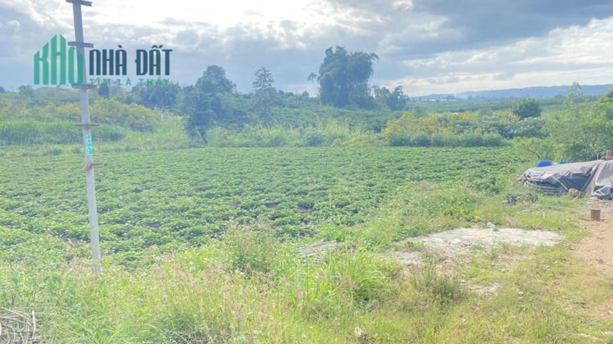 Bán 40m mặt tiền nhựa dh1 tân hội đức trọng gần ngã 3 ba cản chỉ 240tr/1m