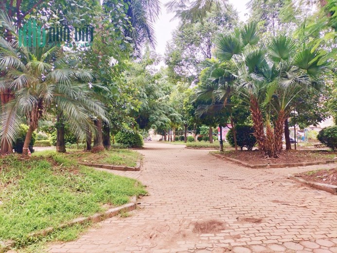 O9 2628 5559 , Mới nhất. Bán nhà Hoàng Cầu 42/50m², 4 tầng, MT 5.2m, giá 8.5 tỷ Đống Đa