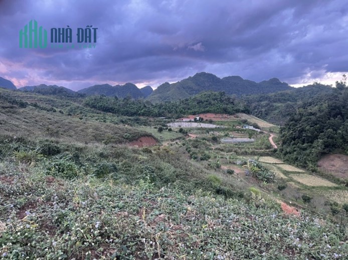 Cắt Lỗ Mảnh ở Mộc Châu vị trí trung tâm 8000m2