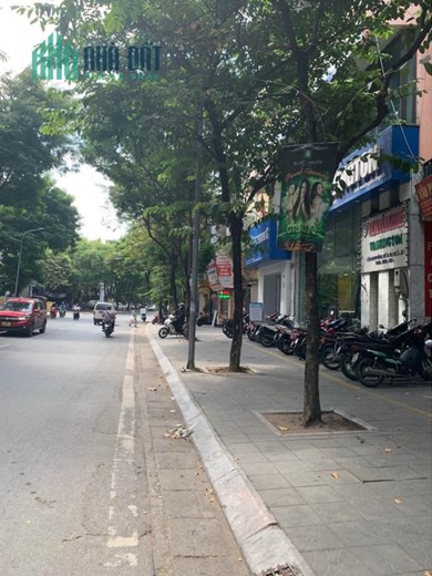 [ GIẢM 6 TỶ] Bán nhanh tòa nhà MP Võ  Thị Sáu - Hai Bà Trưng 115m2, 7 tầng, mặt tiền 7m KD.