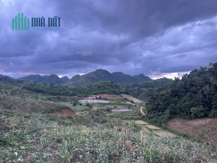 Cắt Lỗ Mảnh ở Mộc Châu vị trí trung tâm 8000m2