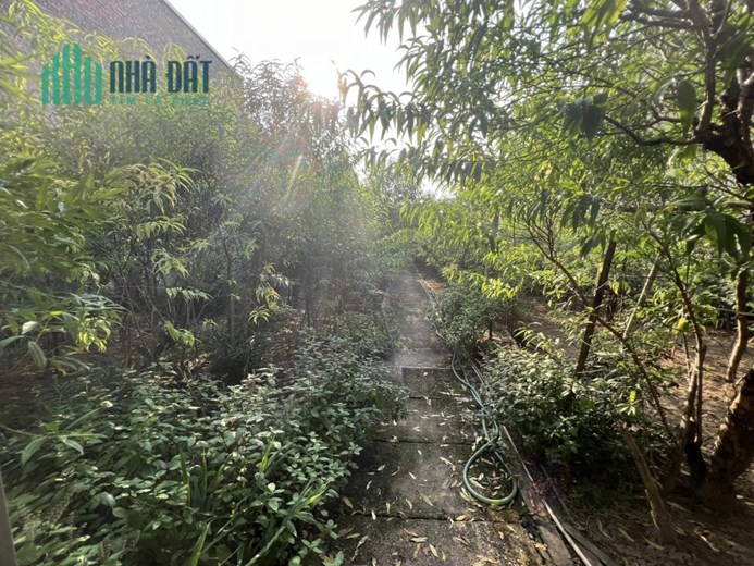 Mới nhất O9 2628 5559 Bán Đất Âu Cơ 1.384m², MT 11.5m, giá 27.8 tỷ Tây Hồ