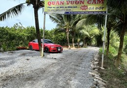CHÍNH CHỦ CẦN SANG GẤP 8.2 CÔNG ĐẤT CÓ SẴN VƯỜN CAM XOÀN Tại Thoại Sơn, An Giang