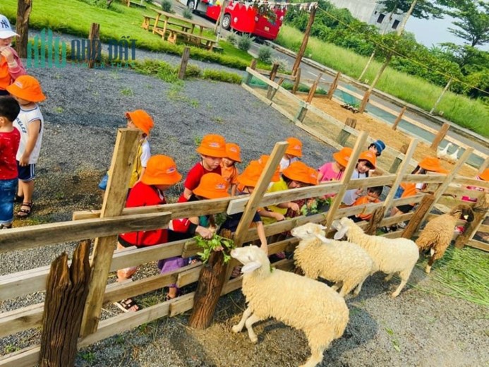 Vị Trí Trung Tâm Điểm Nóng Tại Đồng Nai